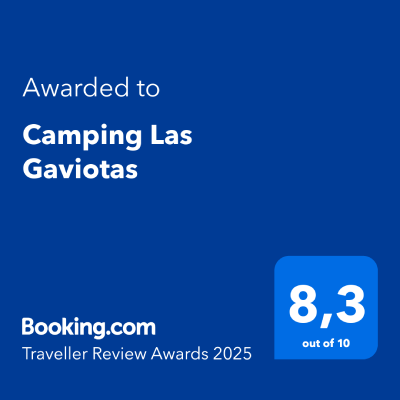 las-gaviotas-Digital-Award-TRA-2025 (1)